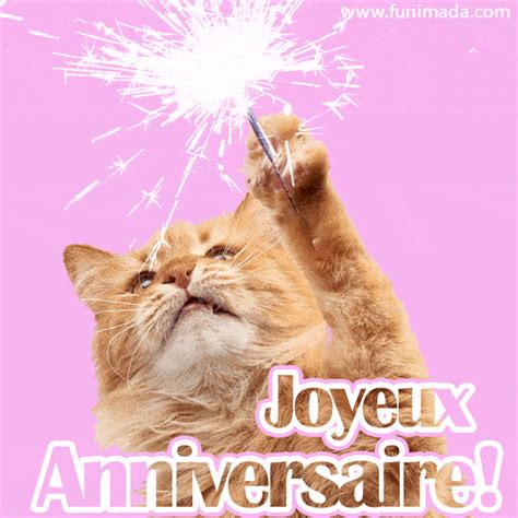 Anniversaire Chat gifs